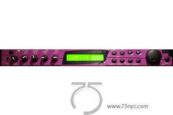 Enlarged view of image